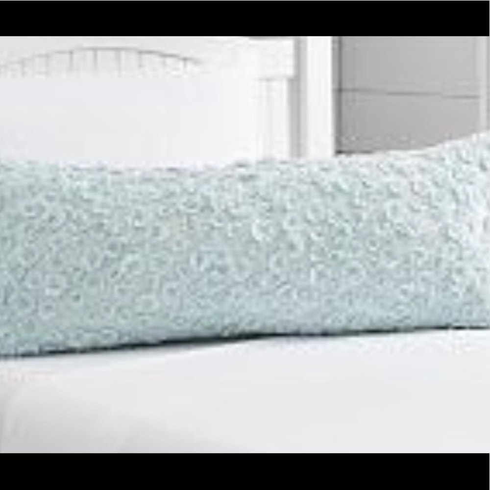 Pottery barn kids rosette sham cover